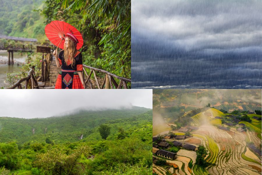 Le climat au Vietnam en août 