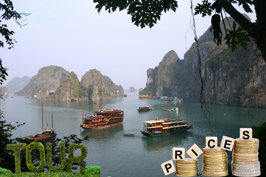 Prix voyage Vietnam : Comprendre pour choisir un itinéraire à votre mesure